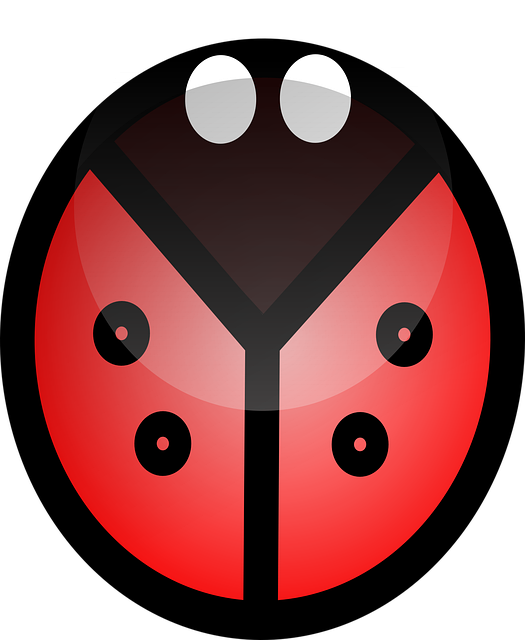 Free ladybug bug insect vector