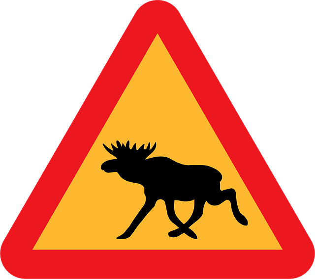 Download free HD stock image of Warning Moose Free warning moose animal vector