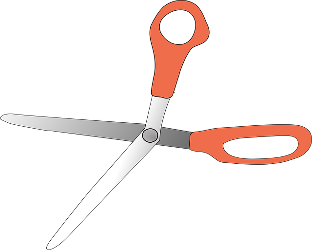 Download free HD stock image of Scissors Shearing Free scissors shearing instruments vector