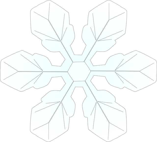 Free snowflake ice crystal vector