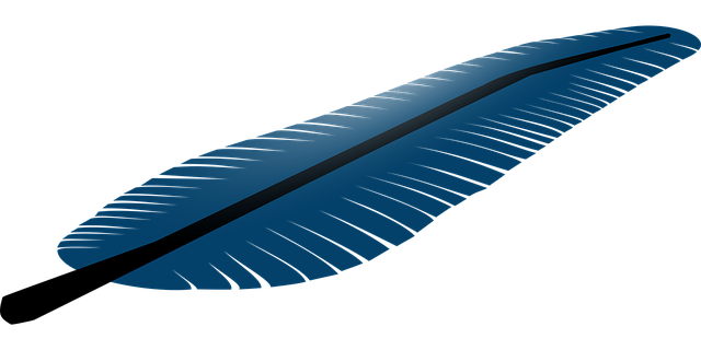 Free feather nature blue illustration