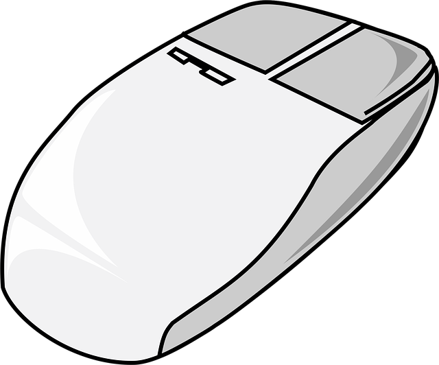 Free mouse pointer input vector