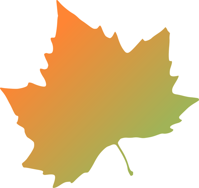 Free maple nature leaf vector