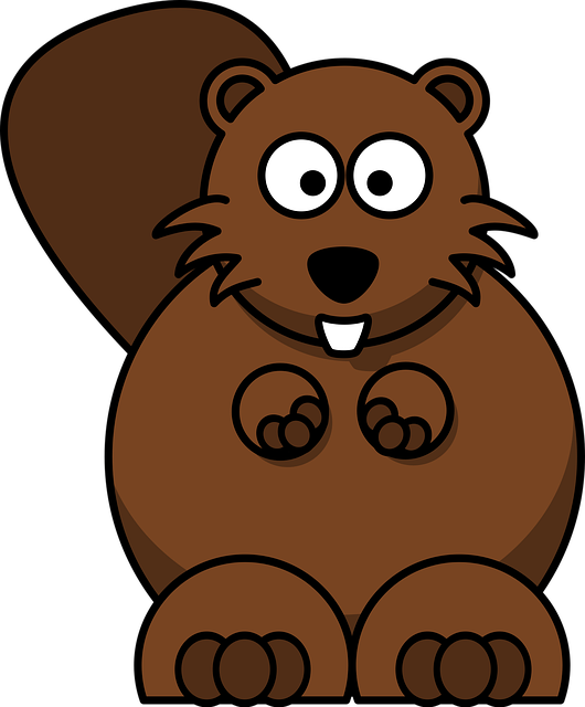 Download free HD stock image of Squirrel Brown Free squirrel brown rodents vector