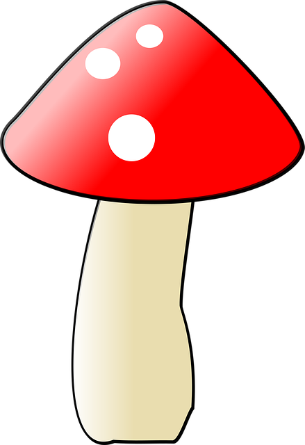 Free mushroom fungus natural vector