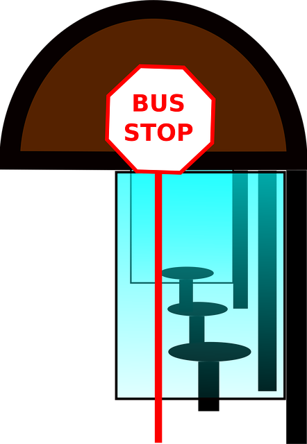 Bus, Stoppen, Sitze, Fenster