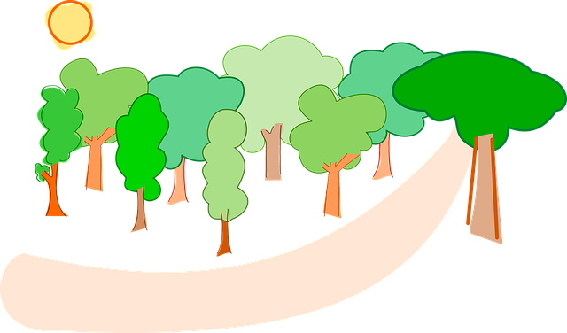 Copaci, Pădure, Natura, Peisaj