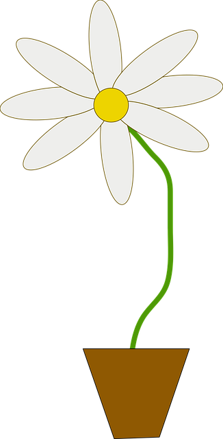Free flower flower pot potted vector