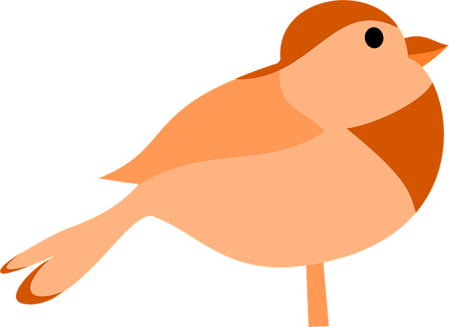Free bird orange brown vector