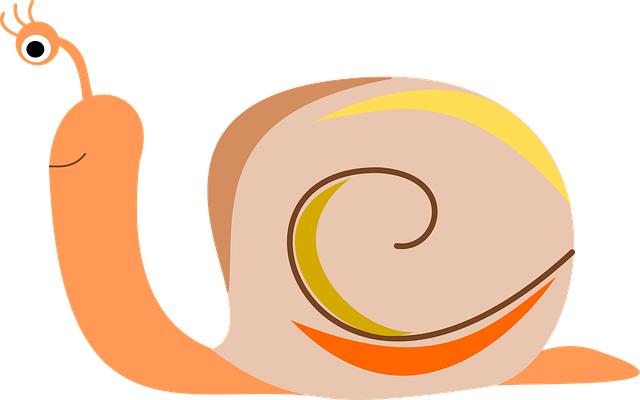 Free snail reptile nature vector