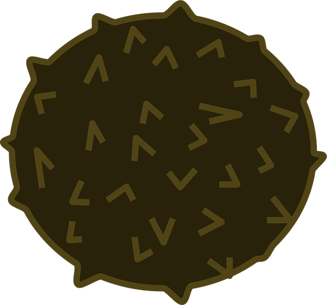 Free coconut fruit palm vector