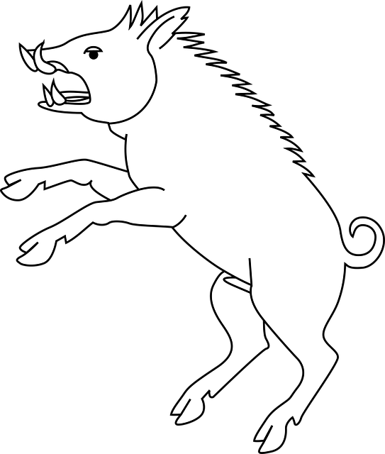 Free pig wild jumping illustration