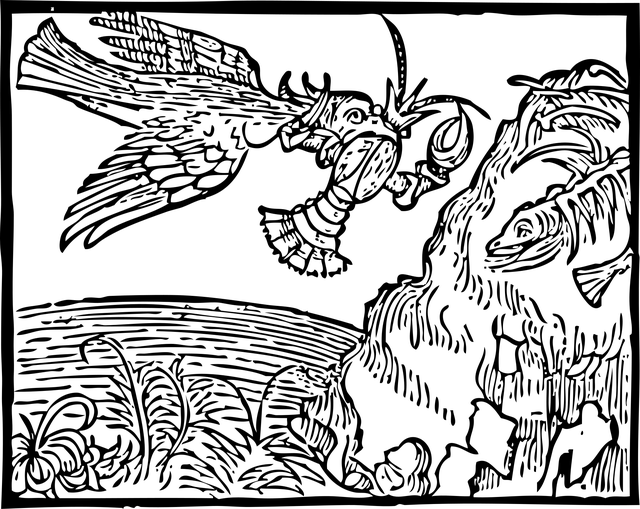 Water, Vogel, Kreeft, Vangst, Gevangen