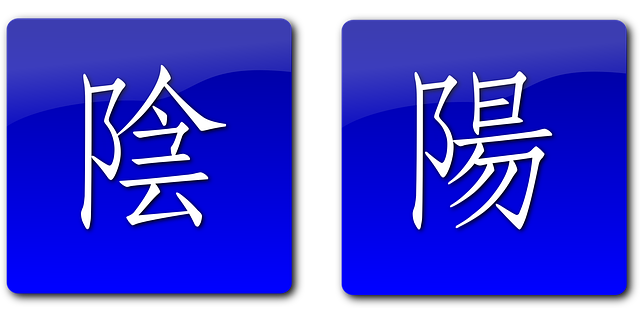 Free yang yin symbols vector
