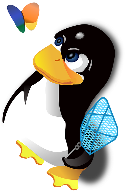 Pingüino, Antártida, Frío, Polar
