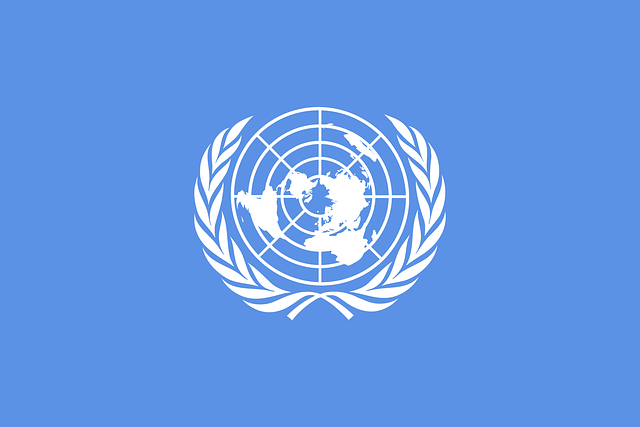 Free united nations flag illustration