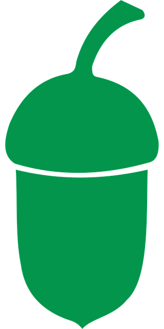 Free acorn plant nut vector
