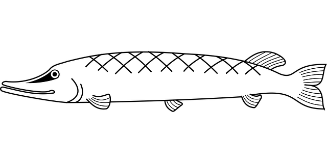 Free fishes marine life underwater illustration