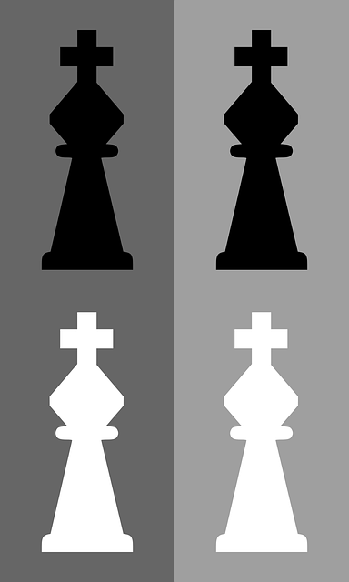 Free chess king meeple vector