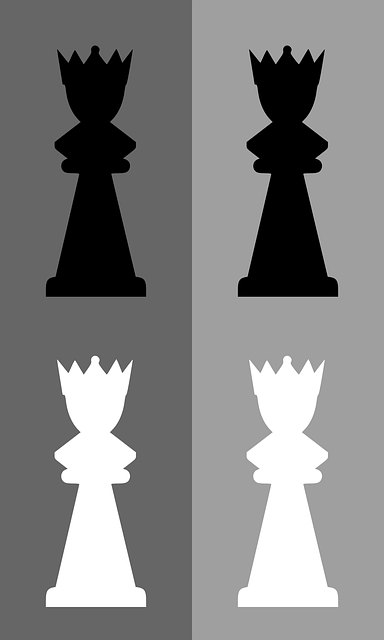 Free chess queen game vector