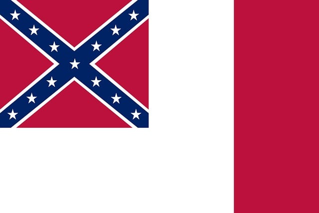 Free flag third national confederate illustration