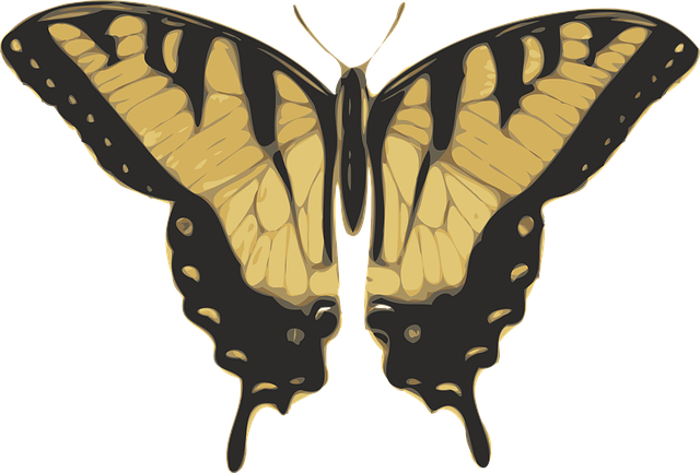 Free butterfly brown patterned vector