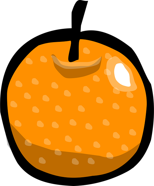 Free orange fruit citrus illustration