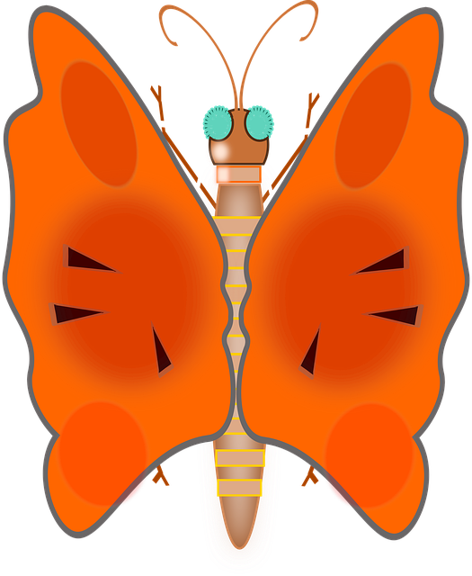 Borboleta, Adorável, Cores, Besouro