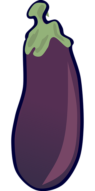 Free aubergine eggplant solanum melongena vector