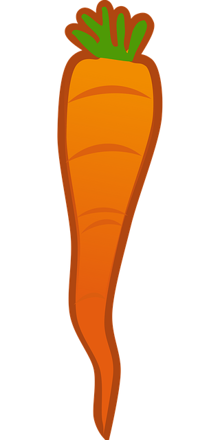 Free carrot orange root vegetable vector