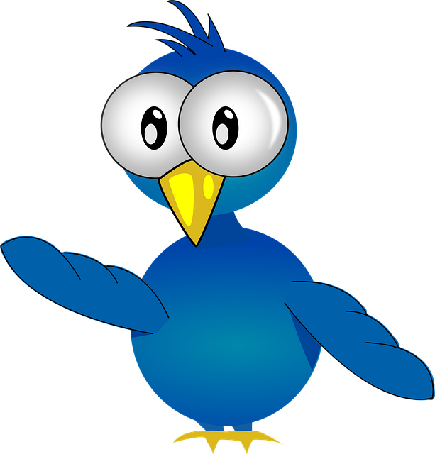 Küken, Baby, Vogel, Jung, Blau, Klein