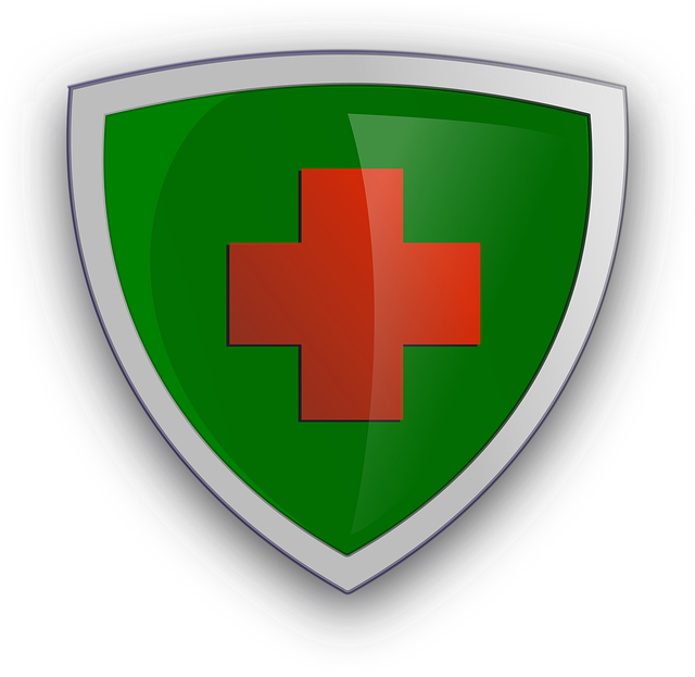 Free shield cross red vector