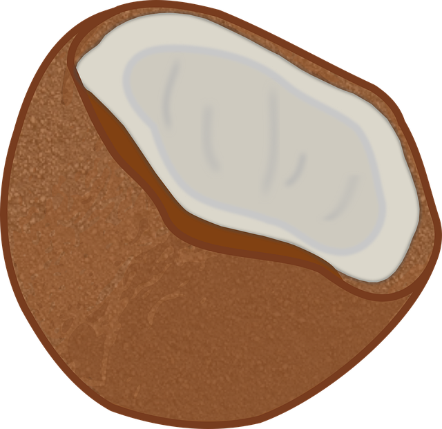 Free coconut half opened vector