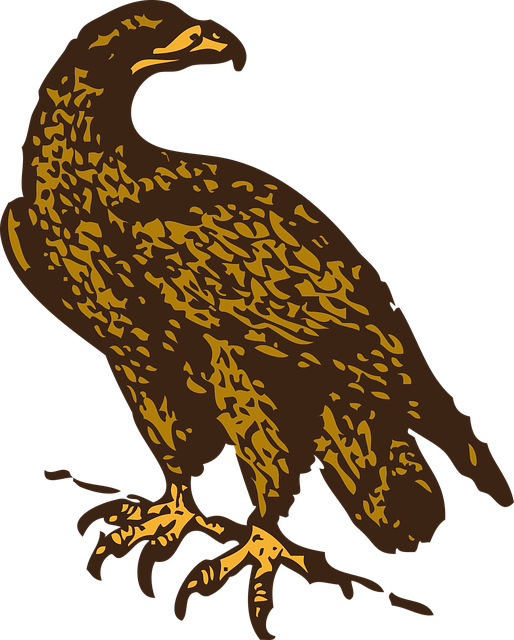 Free eagle golden bird vector