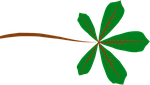 leaf, palmate, green