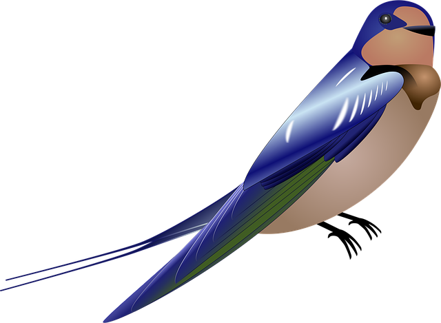 Free swallow bird blue vector