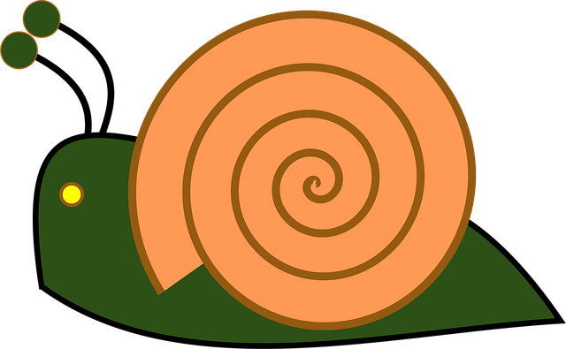 Free snail shell slow vector