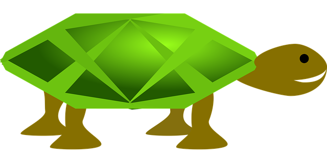 Free turtle green animal vector