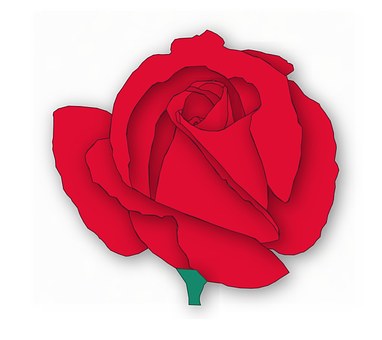 Free Red Rose Rose illustration and picture