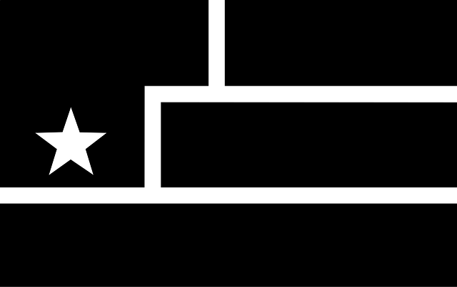 Free flag black star vector