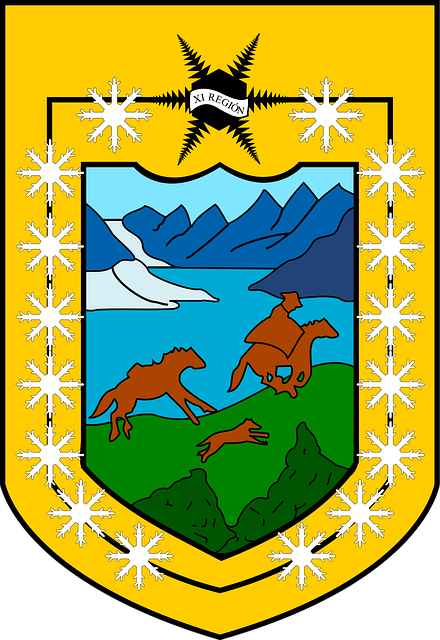 Free coat arms stars vector