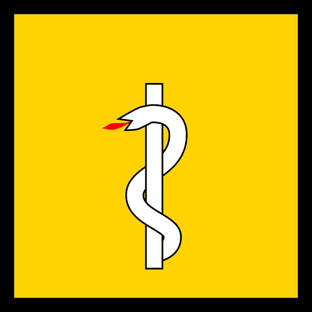 Sundhed, Flag, Slange, Ikon, Insignier