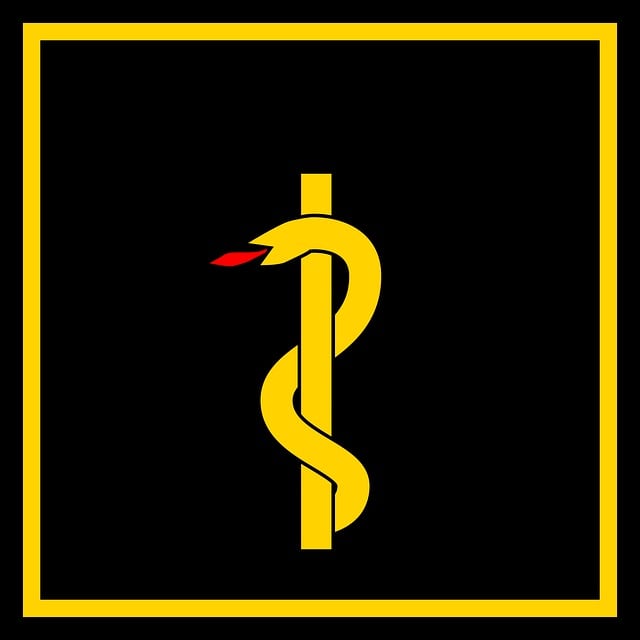 Free flag health snake illustration