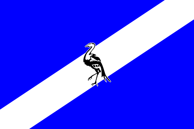 Flag, Ciskei, Provins, Syd, Afrika