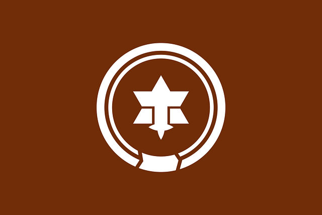 Free flag matsumoto city vector