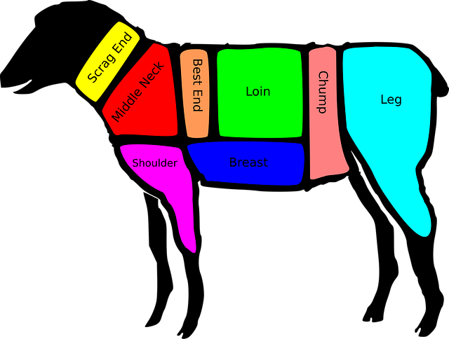 Free sheep lamb mutton vector