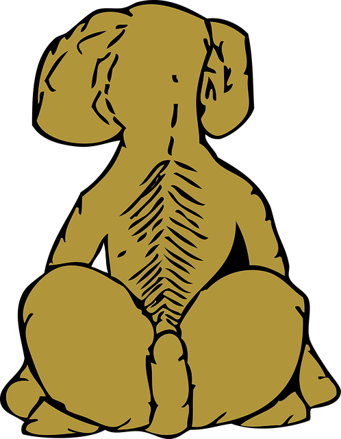 Download free HD stock image of Dog Canine Free dog canine rear view vector
