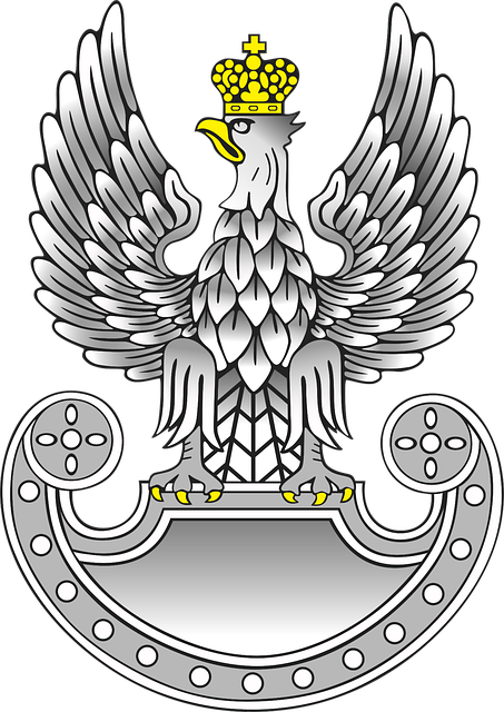 Free eagle nature bird vector