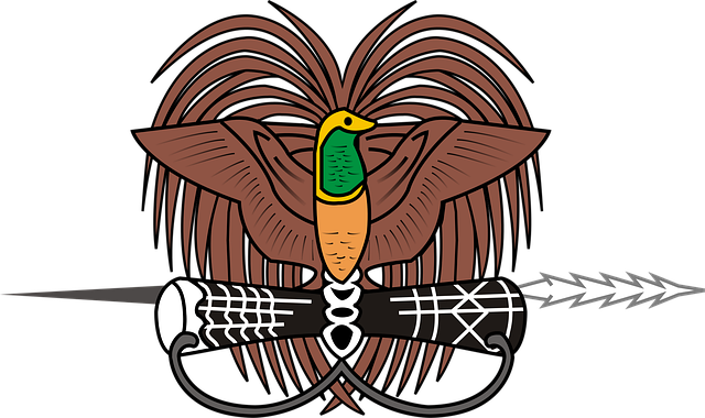 Free new guinea coat illustration