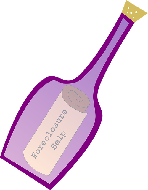 Free bottle message castaway vector